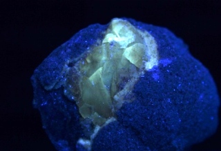 Calcite in Fossil Bivalve - Secchia Valley, Emilia, Italy